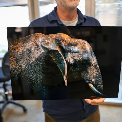 Metal Prints
