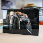 Metal Prints - Image 2