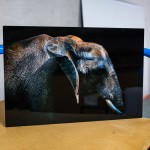 Metal Prints - Image 6
