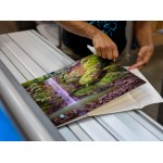 Acrylic Wall Art - Image 6