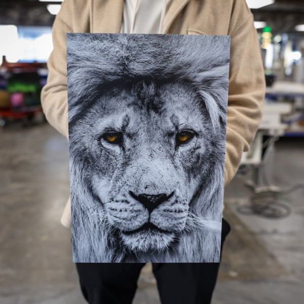 Dibond Prints
