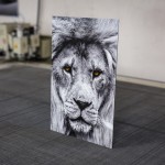 Dibond Prints - Image 6