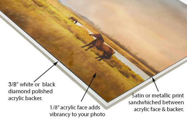 Fine Art Printing Buyers Guide