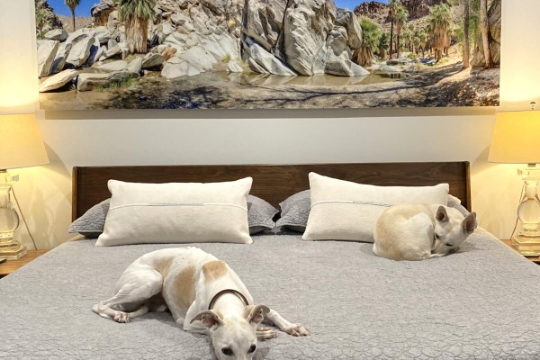 Large Format Acrylic Prints: How to Scale Your Art