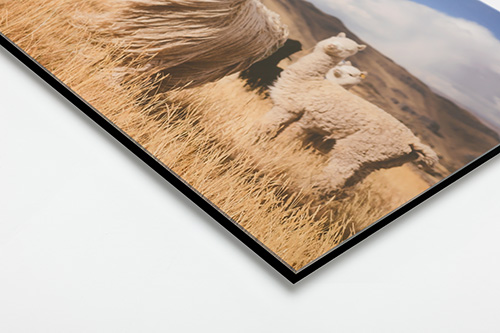 Acrylic Print Designer Series (Black)